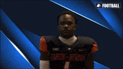 Cnfb GIF by Carson-Newman Athletics