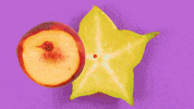 stop motion animation GIF by Phyllis Ma