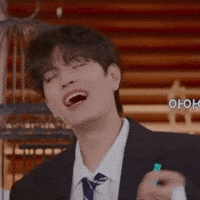 Stray Kids Skz GIF