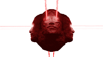 vjzotz loop 3d head blender Sticker