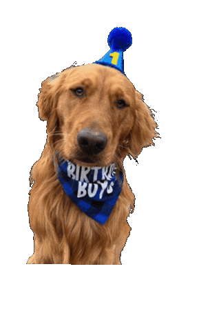 Cache Dog Birthday Sticker by Bastian the Talking Terrier