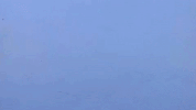 rogue ales santa's private reserve GIF