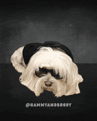Over It No GIF by HammyandBrody