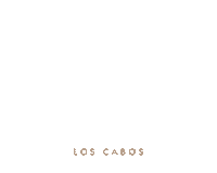 engage cabo enagage18 mexico Sticker by Engage18