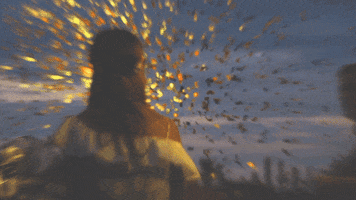 Germany Party GIF by SonnenBrand Festival