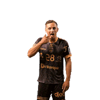 Sport Celebration Sticker by USDK