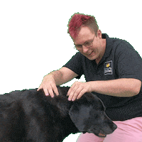Dog Massage Sticker by MassageByStefan