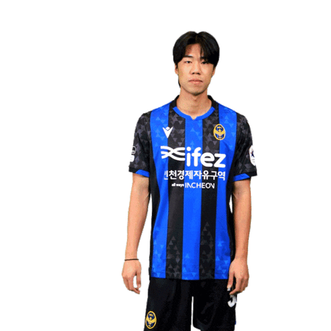 Football Soccer Sticker by Incheon United FC