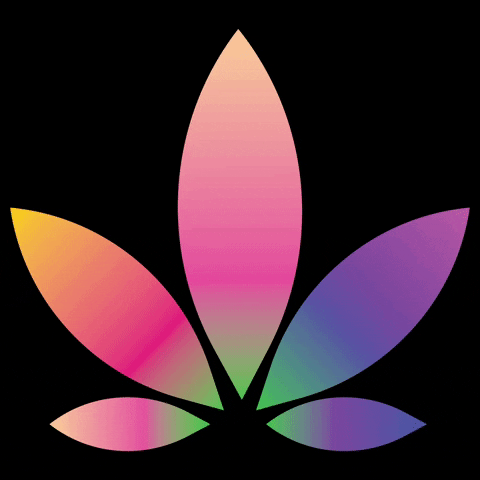 Weedsies logo weed miami la GIF