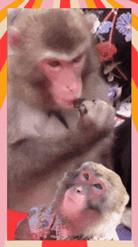 Fun Eating GIF