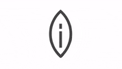Animation Flower GIF by quietnote