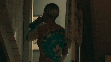 Dave Meyers GIF by P!NK