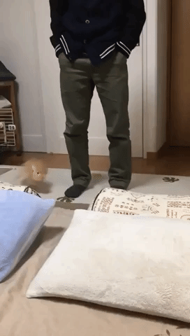 Rabbit Gets His Daily Exercise