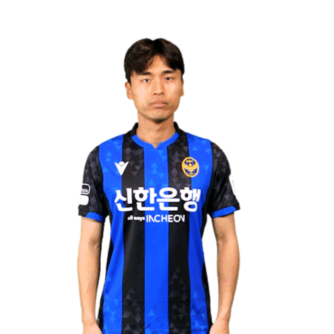 Football Soccer Sticker by Incheon United FC