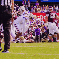 College Football GIF by LSU Tigers