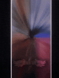Weditits2 GIF