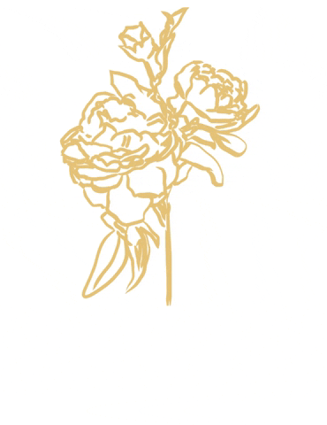 silkandhoneyskincare giphygifmaker skincare skin natural GIF