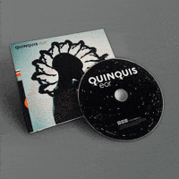 Album Cd GIF by Mute Records