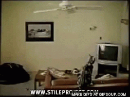 GIF by Demic