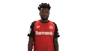 Bayer Leverkusen No Sticker by Bundesliga