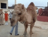 yours GIF