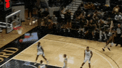 Gotribe Tribe Basketball GIF by William & Mary Tribe Athletics