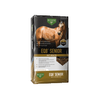 Horse Feed Sticker by BUCKEYE Nutrition