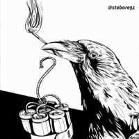 Black Friday Fire GIF