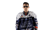Sarlieve Sticker by Les Ducs d'Angers