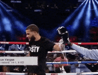 toprank fight boxing fighting espn GIF