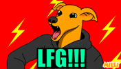 Excited Shiba Inu GIF by MILLI