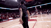 Ncaa Basketball GIF by Arkansas Razorbacks