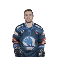 Hockey Applause Sticker by HC Škoda Plzeň