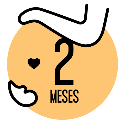 Gravidas Sticker by IN8 Home