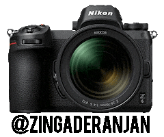 Nikon Ranjannikon Sticker by NikonIndia