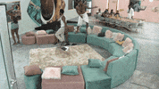 Bbnaija GIF by Big Brother Naija