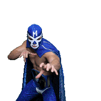 maskadorestacoshopaz wrestling wrestler lucha lucha libre Sticker
