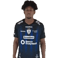Celebrating Del Valle Sticker by INDEPENDIENTE DEL VALLE