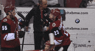 ice hockey hug GIF by NHL