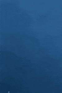 Animation Bubble GIF by DINGDO