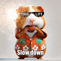 Energy Sparkling GIF by Guinea Gambino