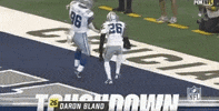 National Football League GIF by NFL