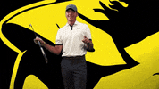USAODrovers  GIF