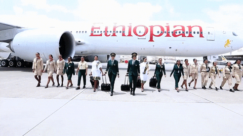 EthiopianAirlinesItaly giphyupload africa crew airlines GIF