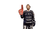 Hockey Angers Sticker by Les Ducs d'Angers