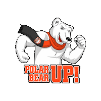 Polar Bears Ada Sticker by Ohio Northern University