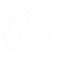 Decoracao Branco Sticker