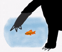 Catch Me If You Can Cat GIF by Barbara Pozzi
