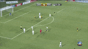 Rafael GIF by Santos Futebol Clube