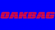 skate norway GIF by OAKBAGsktbs